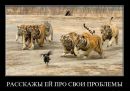 Діна Никифорова фотография #9 (источник - https://vk.com/id69910692)