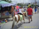 Вікторія Дерещук фотография #4 (источник - https://vk.com/id92479718)