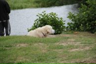 Иван Любченко фотография #25 (источник - https://vk.com/id682883)