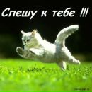 Тарас Ляшенко фотография #40 (источник - https://vk.com/id160123882)