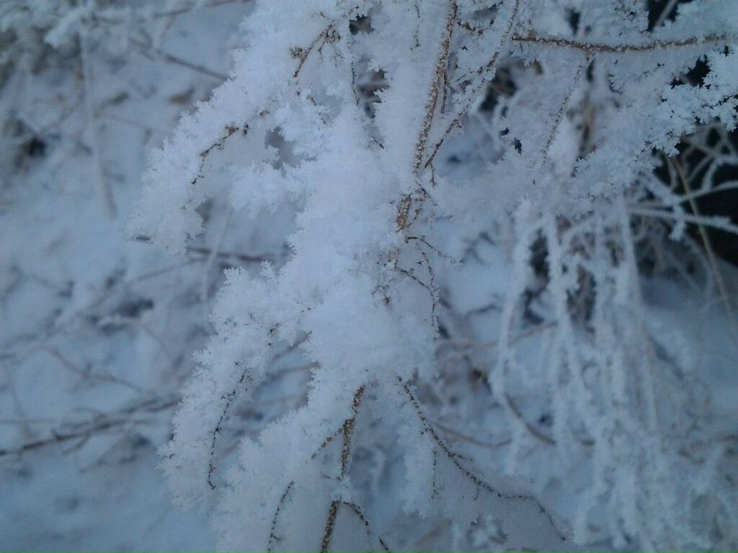 Антон Фандеев фотография #28