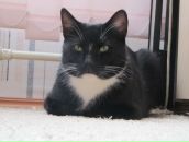 Фотография Куприс Яны