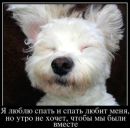 Фотография Соколовой Алёны