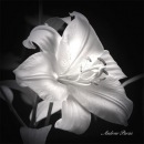 Лілія Колядич фотография #12 (источник - https://vk.com/id35853942)