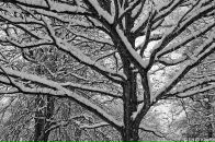 Фотография Агафоновой Марии