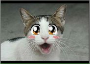 Фотография Камозин Алексей