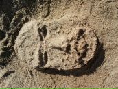 Фотография Анфиногенова Сергея