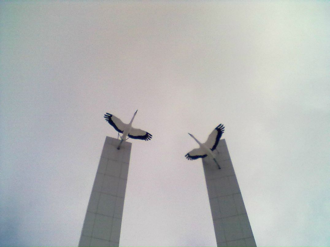 Игорь Волков фотография #36