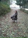 Тася Нігматулліна фотография #18 (источник - https://vk.com/id152420122)