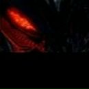 Денис Роєнко фотография #33 (источник - https://vk.com/id87635606)