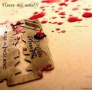 Фотография Кальсина Евгения