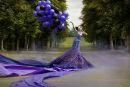 Фотография Литвиненко Светланы