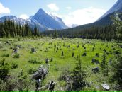 Сергей Батуев фотография #39 (источник - https://vk.com/id668689)