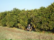 Віталій Яник фотография #13 (источник - https://vk.com/id36670281)