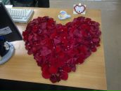 Фотография Яковлевой-зеленской Марины