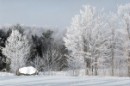 Емілія Мовчан фотография #22 (источник - https://vk.com/id65441918)