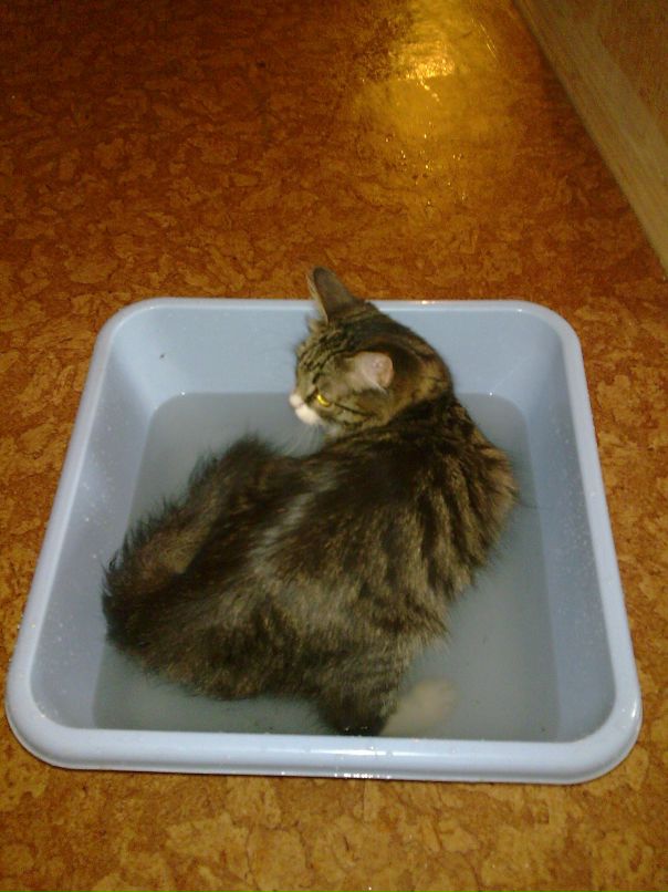 Андрей Поляков фотография #21