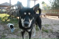 Фотография М Ирины