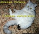 Фотография Гурнова Константина