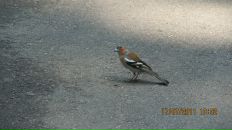 Наталія Торчинська фотография #27 (источник - https://vk.com/id11291283)