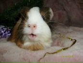 Фотография Андреевны Юлии