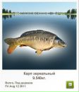 Вадім Горковенко фотография #33 (источник - https://vk.com/id132061658)