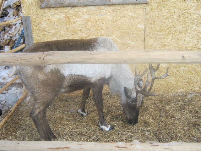 Сергей Швайка фотография #3