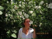 Фотография Хорчевой Натальи