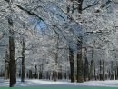 Антон Смирнов фотография #19 (источник - https://vk.com/id160448316)