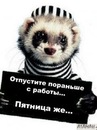 Андрій Харук фотография #24 (источник - https://vk.com/id140525750)