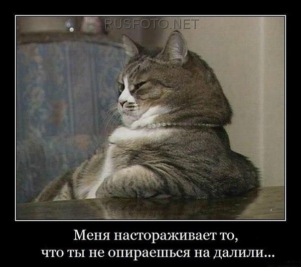 №7, Тимур Хадиев, Казань №7, Тимур Хадиев, Казань