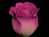 Виктор Оськин фотография #30 (источник - https://vk.com/id2724229)