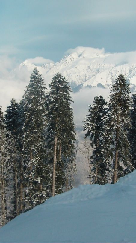 Мария Лета фотография #44