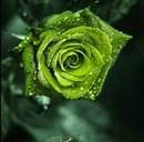 Ілона Латиш фотография #39 (источник - https://vk.com/id155710517)