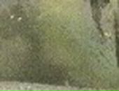 Валерий Караваев фотография #36 (источник - https://vk.com/id4304101)