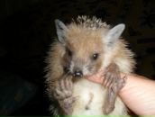 Фотография Бойковой Татьяны