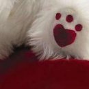 Ірина Криницька фотография #36 (источник - https://vk.com/id133914453)