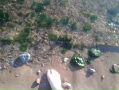 Фотография Качановой Ксении