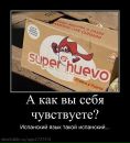 Іван Козачек фотография #22 (источник - https://vk.com/id101456755)