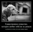 Віталік Мельник фотография #4 (источник - https://vk.com/id98623433)