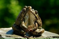 Дмитрий Ситнов фотография #18 (источник - https://vk.com/id3539869)