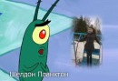 Екатерина Фомина фотография #43 (источник - https://vk.com/id131529293)