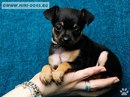 Юля Підлубна фотография #22 (источник - https://vk.com/id163580572)
