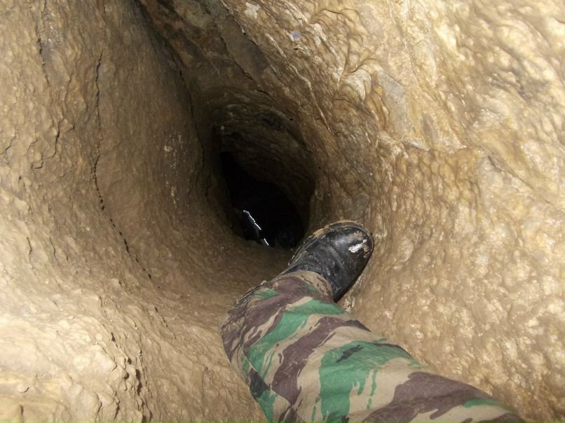 Bioskiller Bioskiller фотография #27