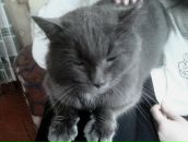 Фотография Федоровой Татьяны