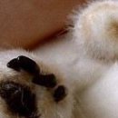 Марія Гринаш фотография #25 (источник - https://vk.com/id142531642)