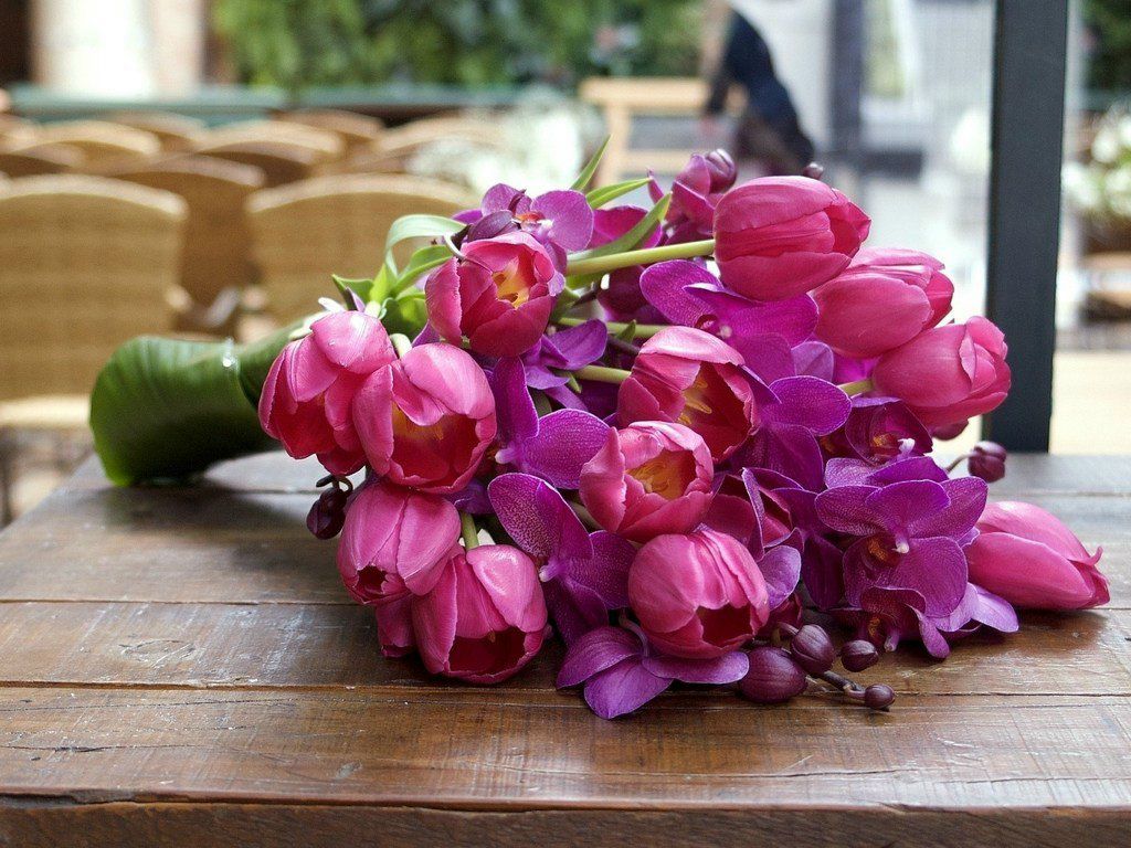 Иван Шуст фотография #35