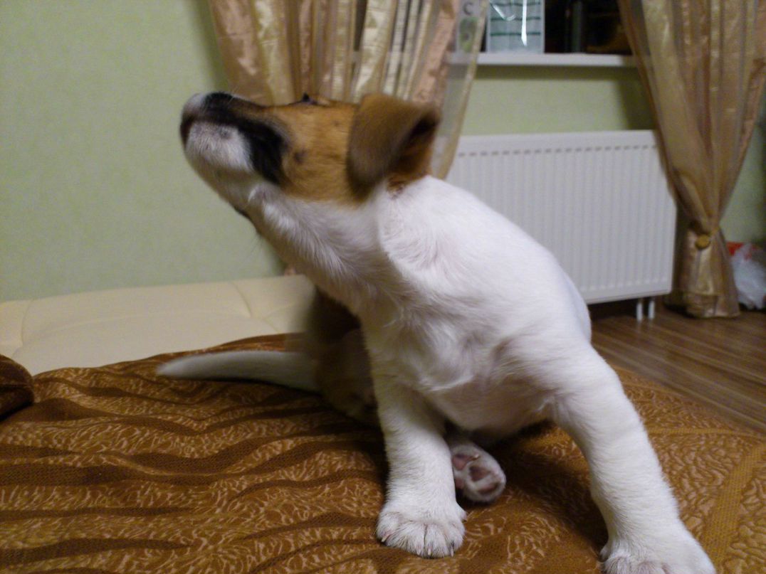 Диман Бабаскин фотография #40