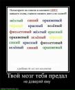 Діма Філюк фотография #24 (источник - https://vk.com/id79265412)
