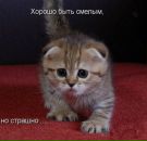 Фотография Норкиной Елизаветы